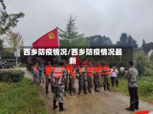 西乡防疫情况/西乡防疫情况最新