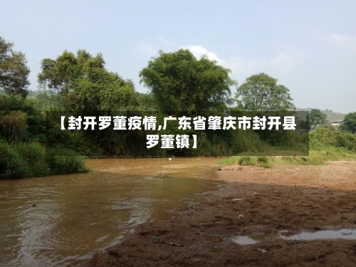 【封开罗董疫情,广东省肇庆市封开县罗董镇】