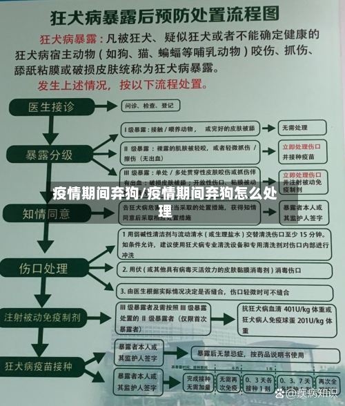 疫情期间弃狗/疫情期间弃狗怎么处理