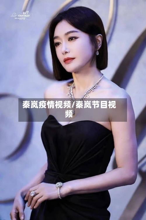 秦岚疫情视频/秦岚节目视频