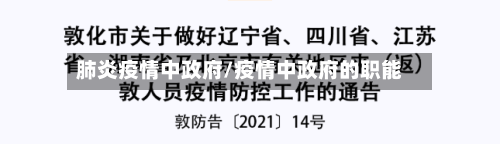 肺炎疫情中政府/疫情中政府的职能-第2张图片
