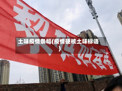 土味疫情条幅(疫情硬核土味标语)