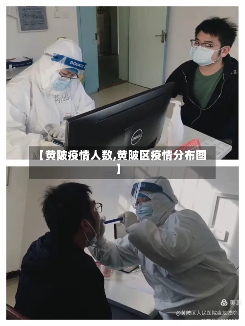 【黄陂疫情人数,黄陂区疫情分布图】