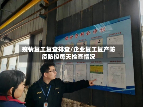 疫情复工复查排查/企业复工复产防疫防控每天检查情况-第3张图片