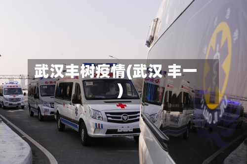 武汉丰树疫情(武汉 丰一)