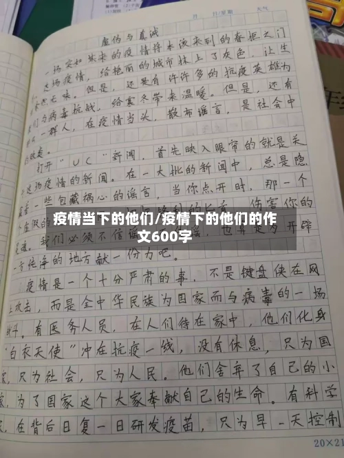 疫情当下的他们/疫情下的他们的作文600字