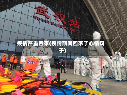 疫情严重回家(疫情期间回家了心情句子)-第2张图片