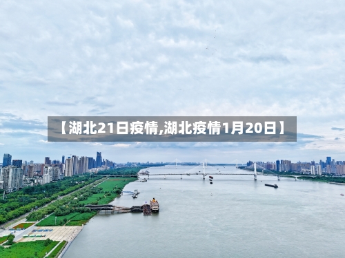 【湖北21日疫情,湖北疫情1月20日】