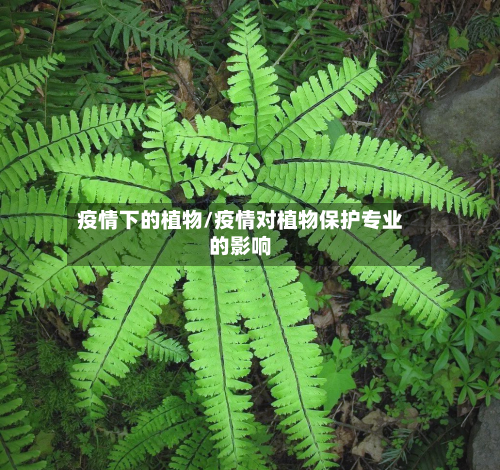 疫情下的植物/疫情对植物保护专业的影响-第2张图片