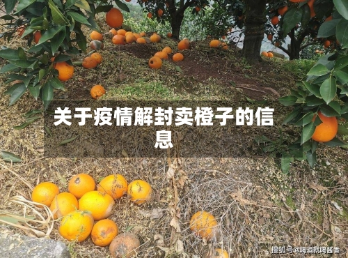 关于疫情解封卖橙子的信息