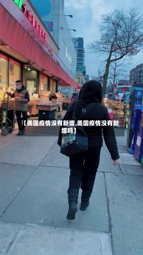 【美国疫情没有新增,美国疫情没有新增吗】-第3张图片