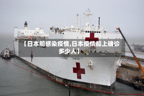 【日本船感染疫情,日本疫情船上确诊多少人】-第3张图片