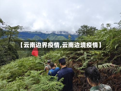 【云南边界疫情,云南边境疫情】