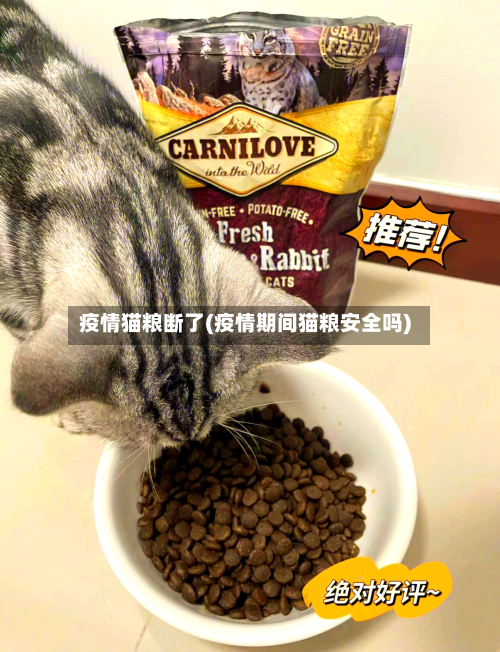 疫情猫粮断了(疫情期间猫粮安全吗)