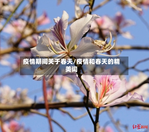 疫情期间关于春天/疫情和春天的精美词-第2张图片