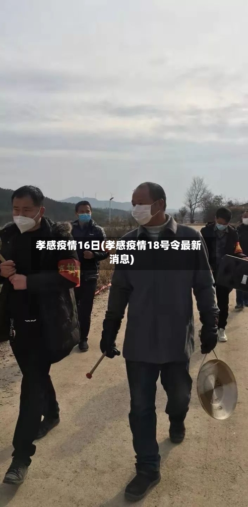 孝感疫情16日(孝感疫情18号令最新消息)-第3张图片