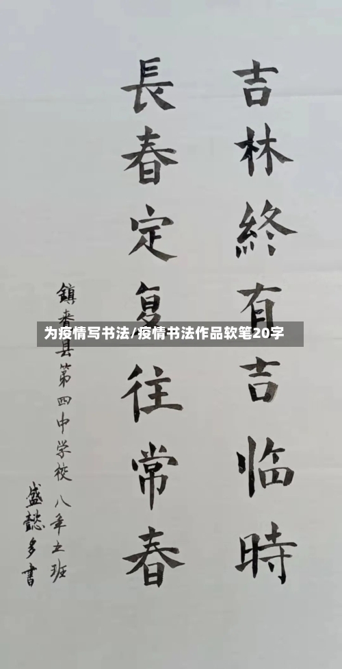 为疫情写书法/疫情书法作品软笔20字
