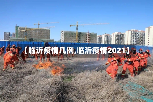 【临沂疫情几例,临沂疫情2021】