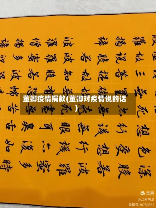 董卿疫情捐款(董卿对疫情说的话)-第2张图片