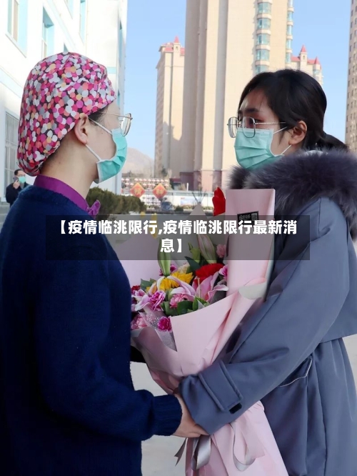 【疫情临洮限行,疫情临洮限行最新消息】-第2张图片