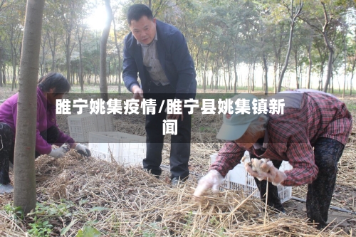 睢宁姚集疫情/睢宁县姚集镇新闻
