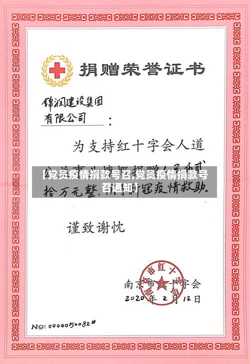 【党员疫情捐款号召,党员疫情捐款号召通知】-第2张图片