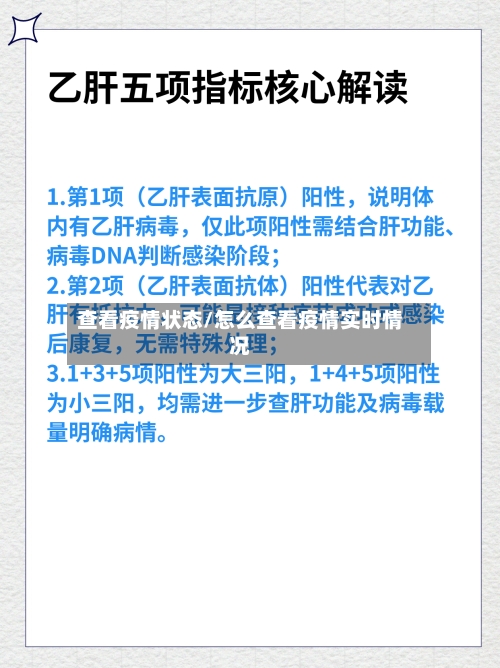 查看疫情状态/怎么查看疫情实时情况-第2张图片