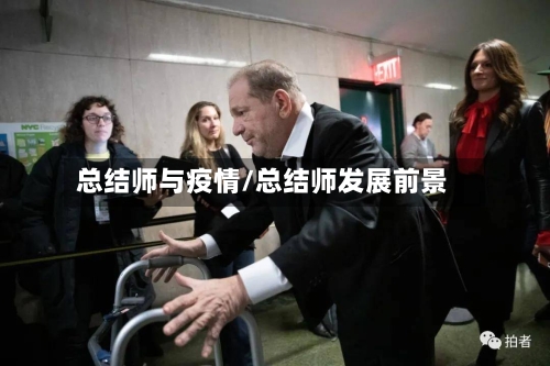 总结师与疫情/总结师发展前景
