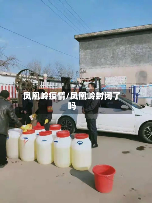 凤凰岭疫情/凤凰岭封闭了吗-第2张图片