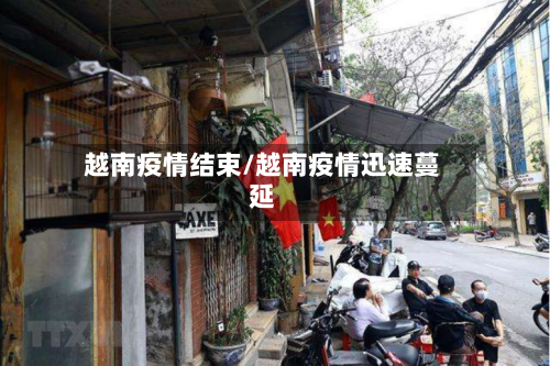 越南疫情结束/越南疫情迅速蔓延