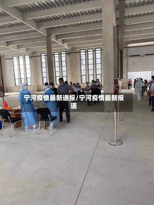 宁河疫情最新通报/宁河疫情最新报道-第3张图片