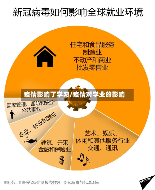 疫情影响了学习/疫情对学业的影响