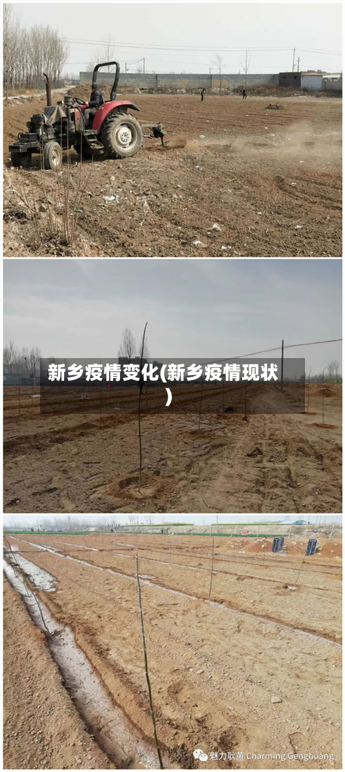 新乡疫情变化(新乡疫情现状)-第2张图片