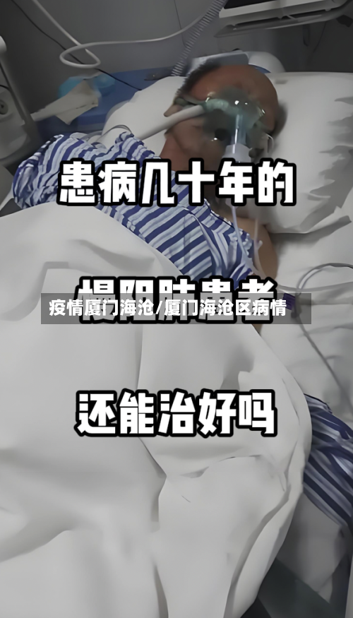 疫情厦门海沧/厦门海沧区病情-第2张图片