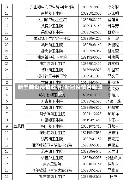 新型肺炎疫情政府/新冠疫情各级政府-第2张图片