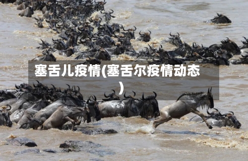 塞舌儿疫情(塞舌尔疫情动态)-第2张图片