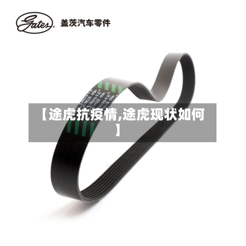 【途虎抗疫情,途虎现状如何】-第2张图片