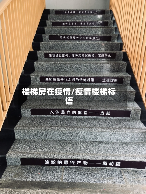 楼梯房在疫情/疫情楼梯标语-第2张图片