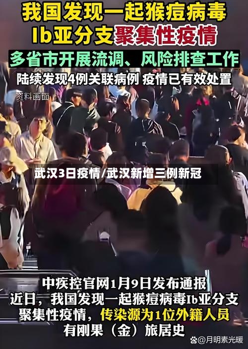 武汉3日疫情/武汉新增三例新冠