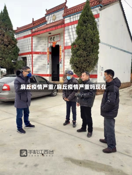 麻丘疫情严重/麻丘疫情严重吗现在-第3张图片