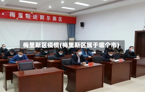 梅里斯区疫情(梅里斯区属于哪个市)-第2张图片